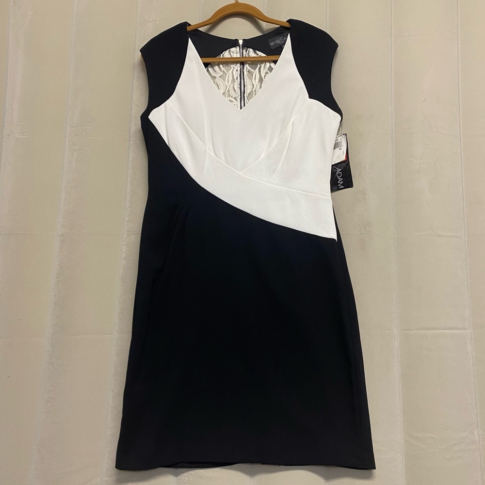 Betsy & Adam Women’s Dress Size 12 Sleeveless Shift Lace Panel Colorblock NWT